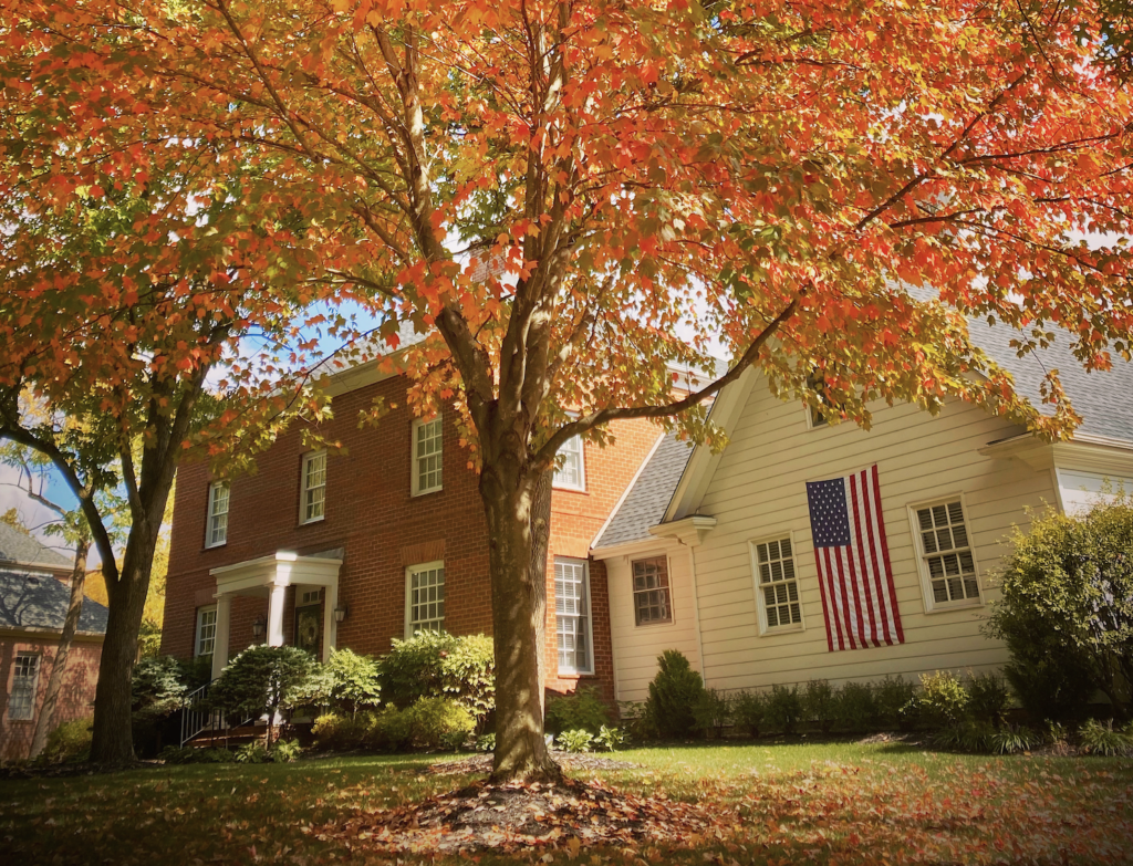 two large houses behind an orange autumn oak tree