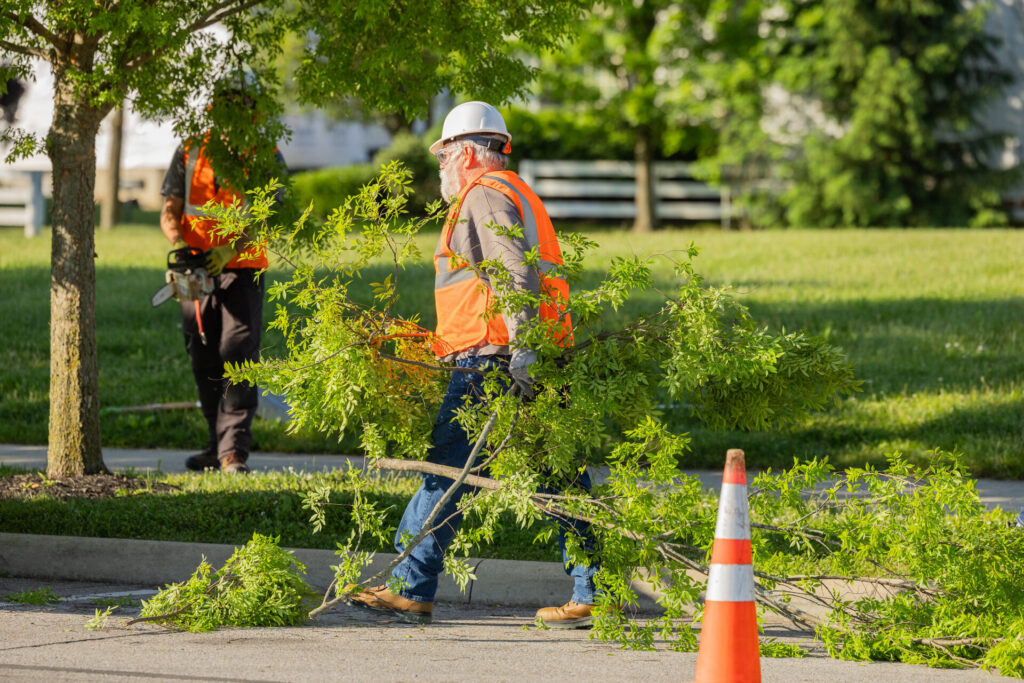 workers hauling off tree branches from a neighborhood