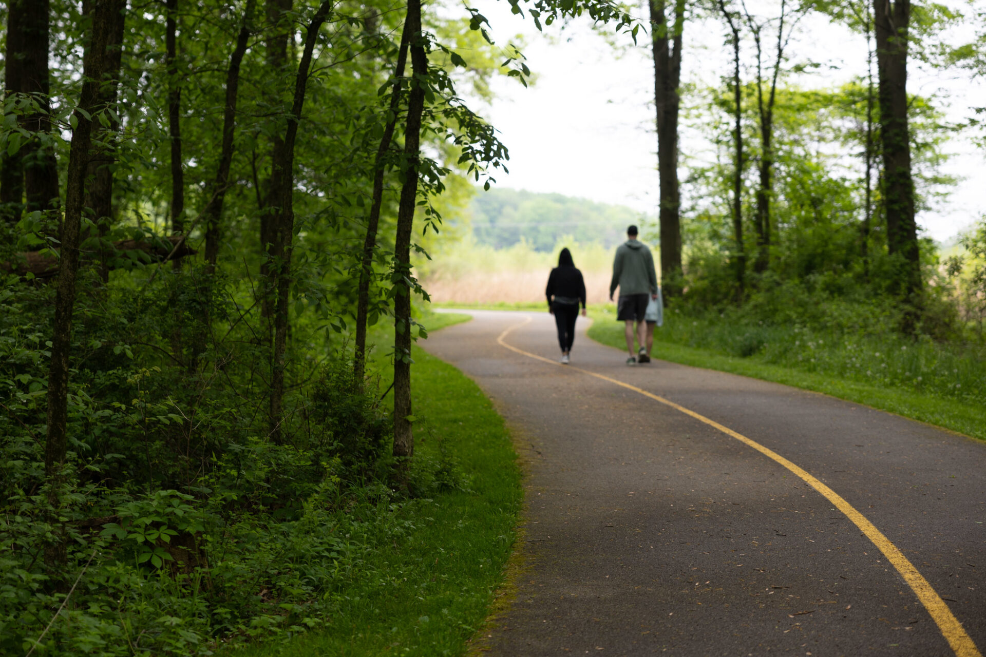 people walking on a pedestrian path in a wooded area