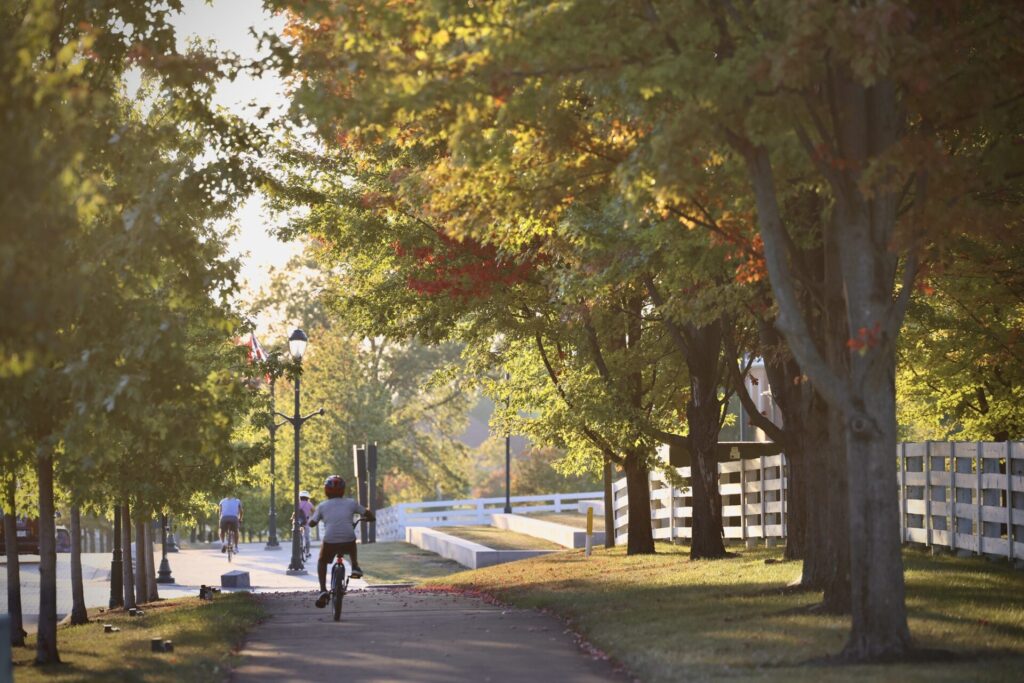 A person riding a bicycle on a tree-lined path with a white fence and street lamps in the background.