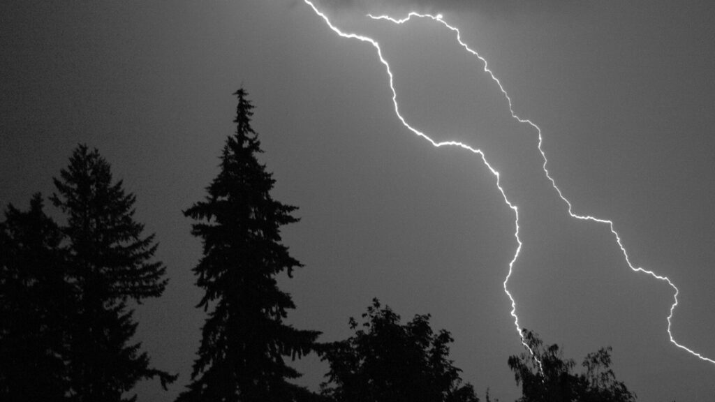 Lightning bolt in a dark sky above silhouetted trees.