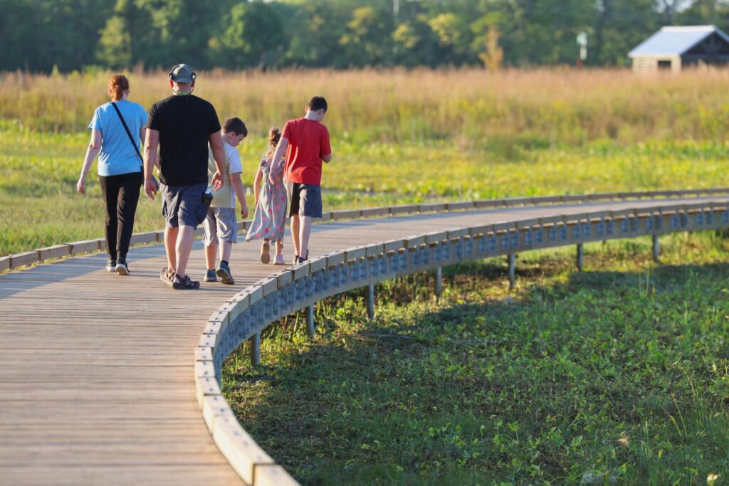 A family walks along a curved wooden boardwalk through a grassy field on a sunny day.