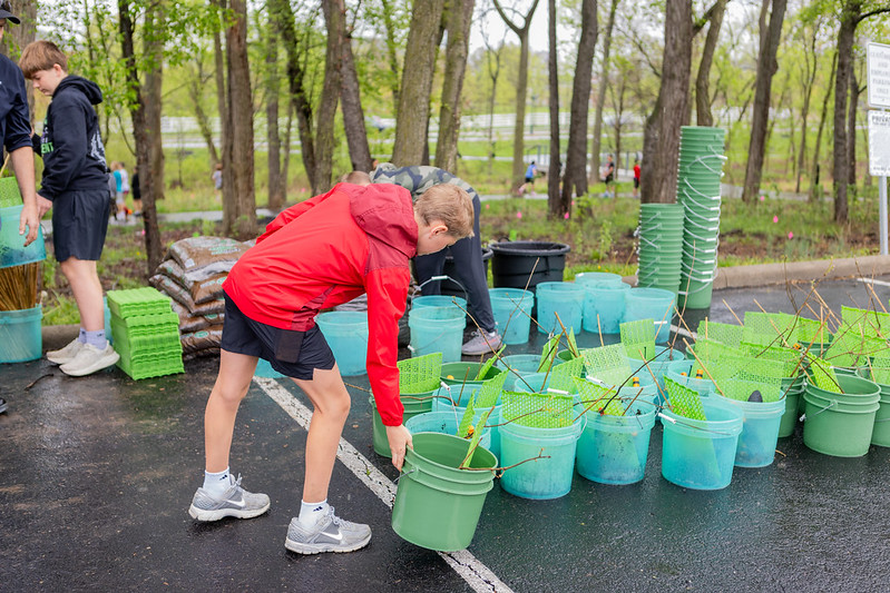A boy in a red jacket bending down to pick up a green bucket with small tree saplings, surrounded by multiple green and blue buckets and tree protection guards, with other people and trees in the background on a paved area.