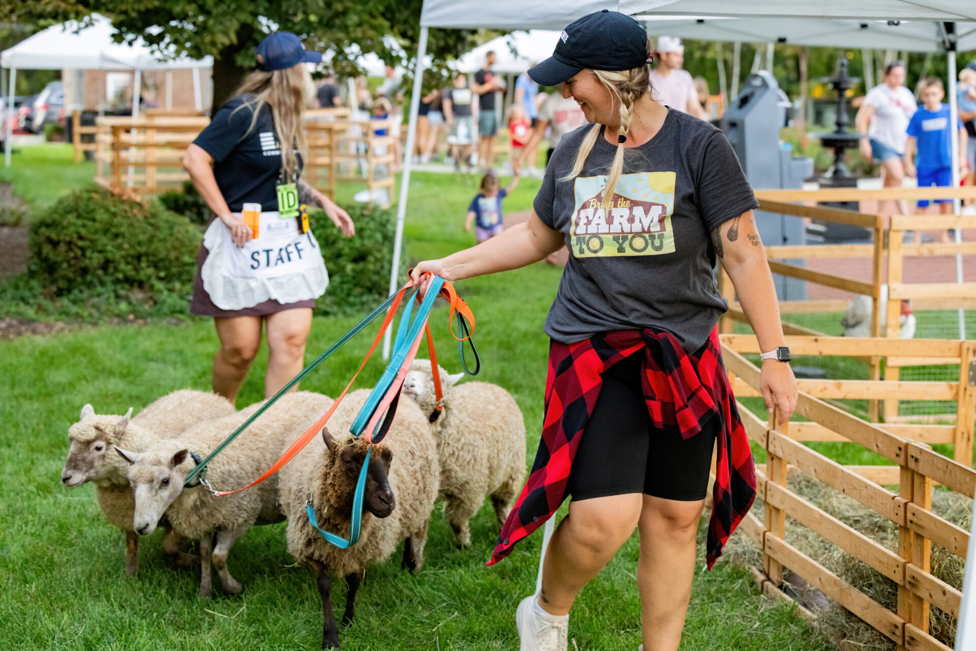 Woman in a baseball cap and 'Bring the Farm to You' t-shirt smiling as she walks four sheep on colorful leashes through a grassy outdoor petting-farm area with wooden pens and staff tents.