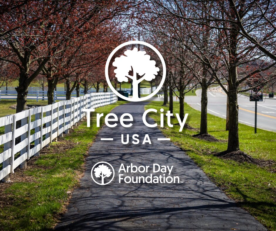 Paved tree-lined path with a white fence and the overlaid Tree City USA and Arbor Day Foundation logos