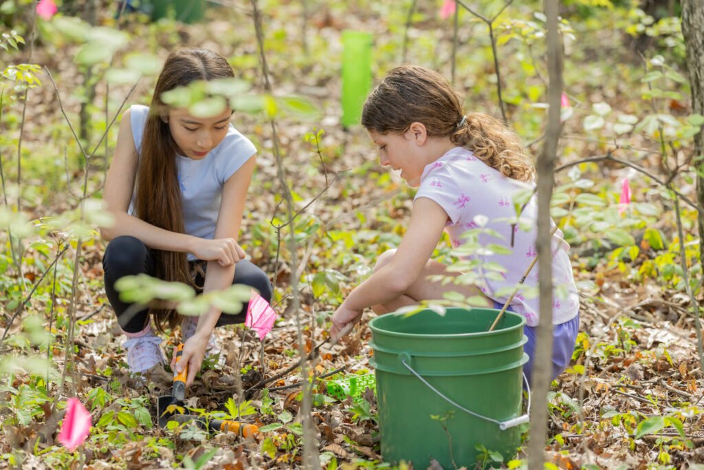 Two young girls kneel in a wooded area digging in leaf litter with small trowels beside a green bucket and pink survey flags.