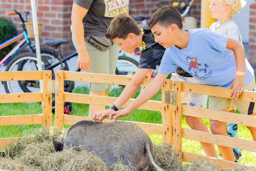 Two children reach over a fence to pet an animal